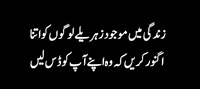 Zindagi may zehreelay log